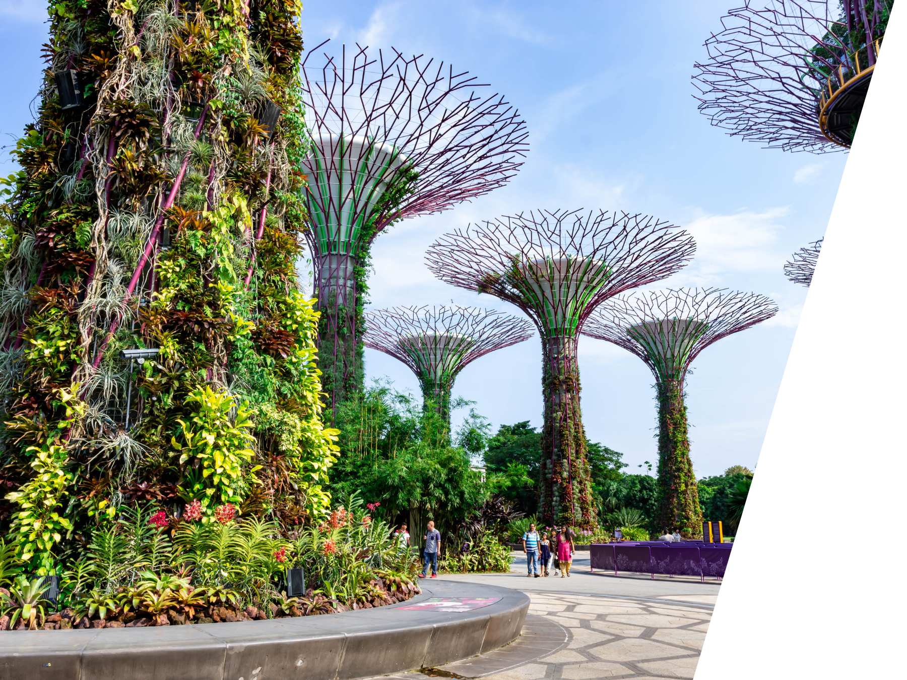 study abroad in singapore with asia exchange2